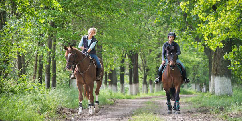 équitation loisir