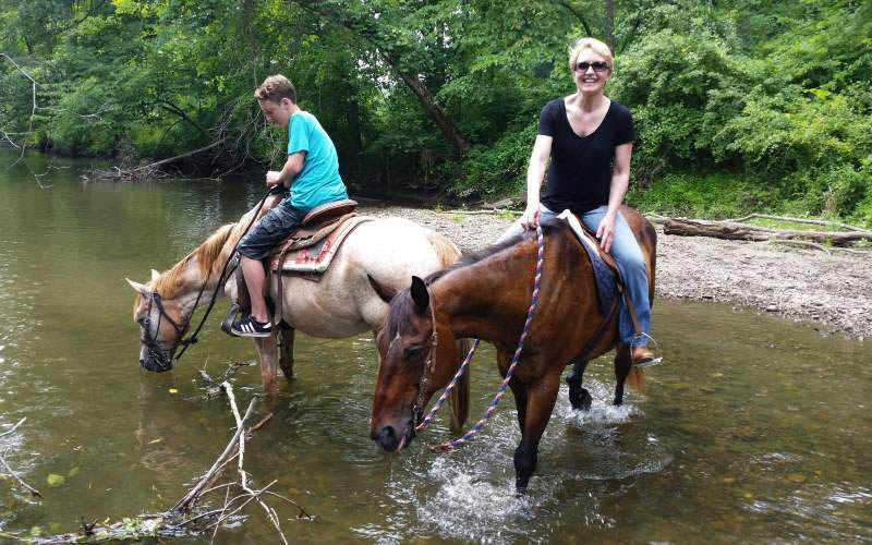équitation loisir